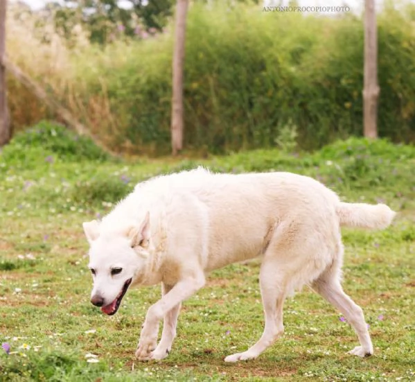 Milly un po buffa e super sorridente  | Foto 5