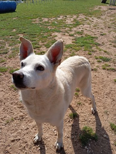 Milly un po buffa e super sorridente 