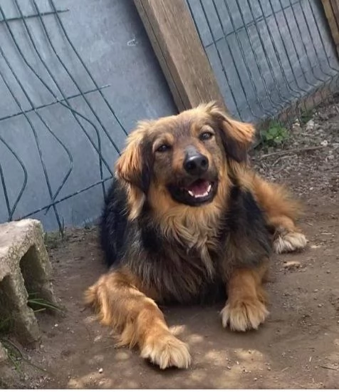 Fratello e sorella 4anni  tg media 3anni di appelli mai 1chiamata napoli | Foto 6