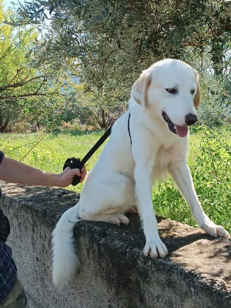 Fratello e sorella 3anni splendidi ma nessuno li nota CALABRIA