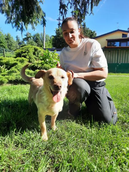 MILO dolce nonnino cerca casa | Foto 0