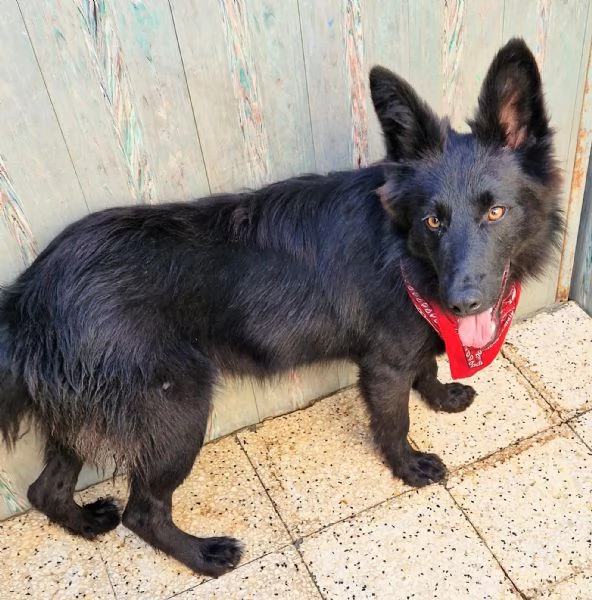 Cara mammaanchio ho un cuore uguale agli altri | Foto 0