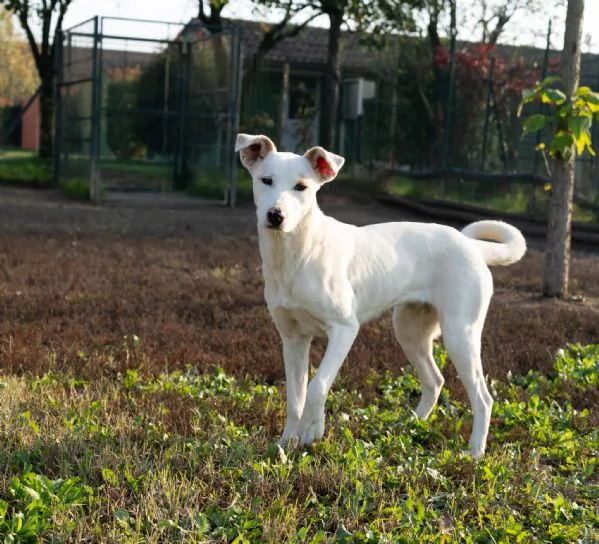 yuma  | Foto 3