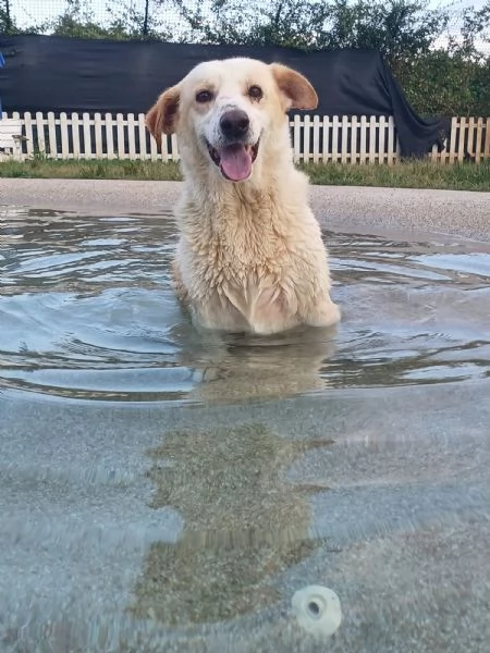 snoopa in attesa di fortuna | Foto 4