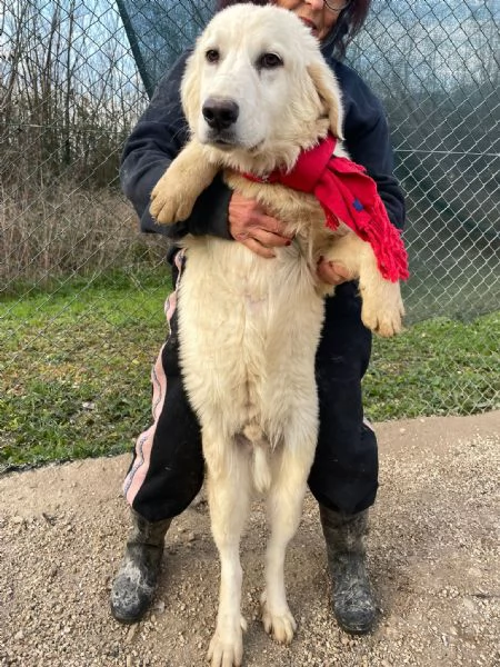 IL SORRISO DI LUCKY | Foto 2