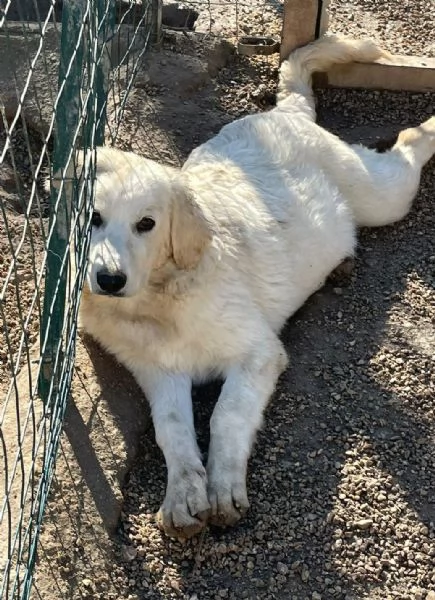 IL SORRISO DI JACK | Foto 1