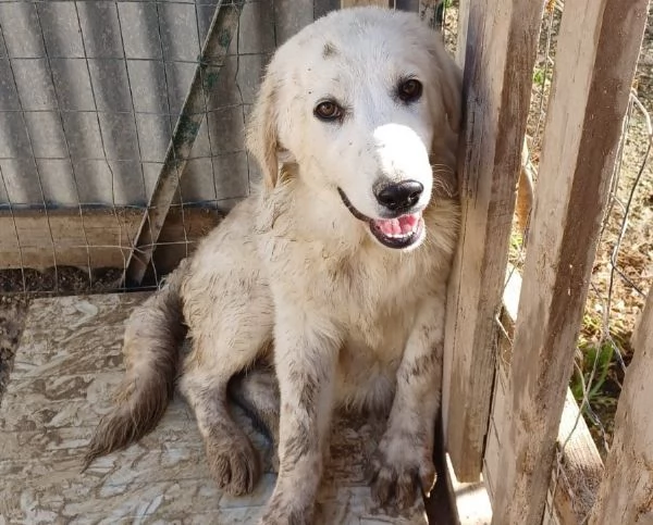 IL SORRISO DI JACK | Foto 0