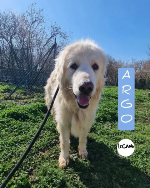 Argo 4 anni