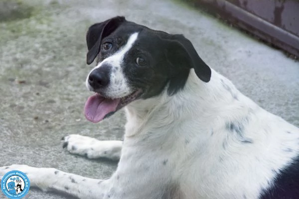 LUNA dolce nonnina buonissima e molto coccolona 