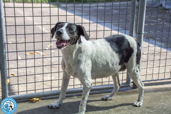 LUNA dolce nonnina buonissima e molto coccolona  | Foto 1