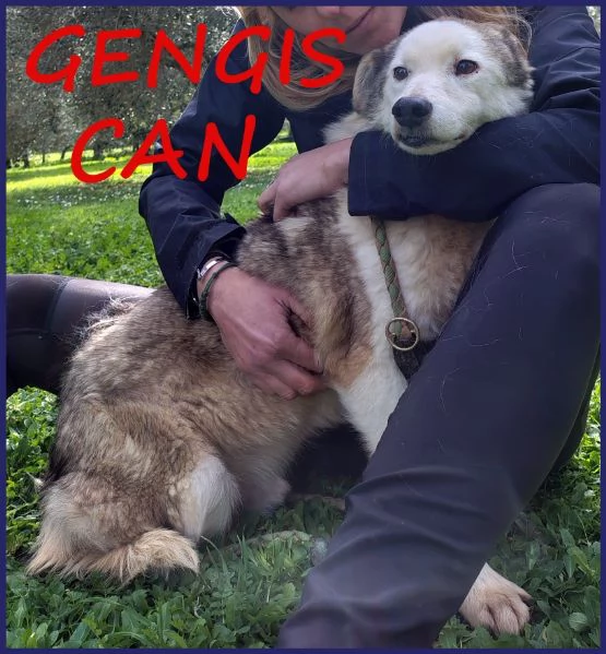 GENGIS CAN TENERO NONNINO DI 12 ANNI