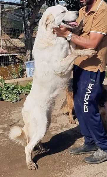 Camillo cerca la sua famiglia per la vita | Foto 4