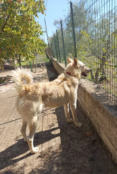 Una famiglia e tanto amore | Foto 6