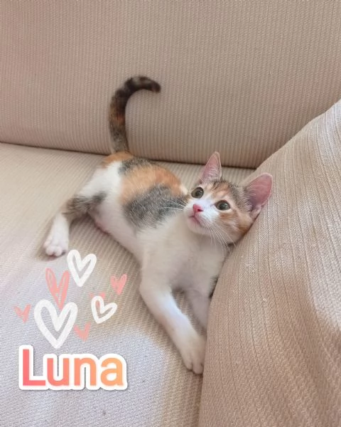 Luna cerca casa 