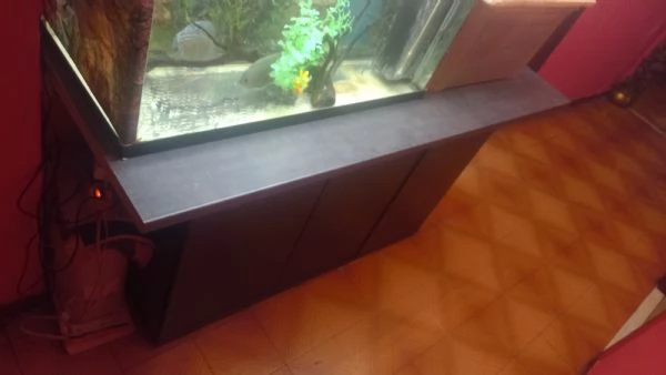 OFFRO IN REGALO ACQUARIO JUWEL 450  LITRI  | Foto 4