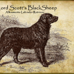 Lord Scott's Blacksheep