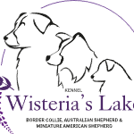 Wisteria’s Lake Kennel